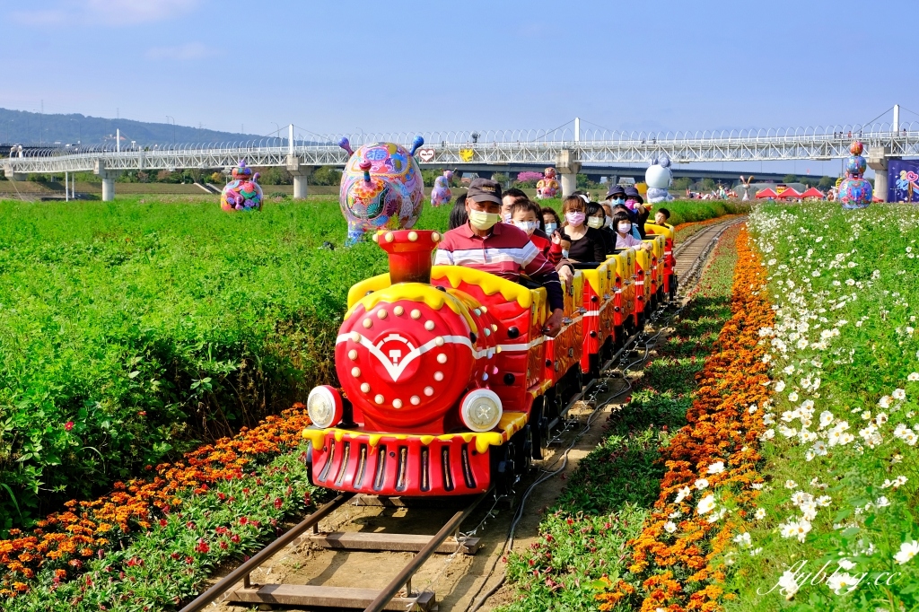 【南投旅遊】2022南投燈會，可愛的嘟嘟小火車，穿梭浪漫南投花海，期間限定無人機煙火秀 @飛天璇的口袋
