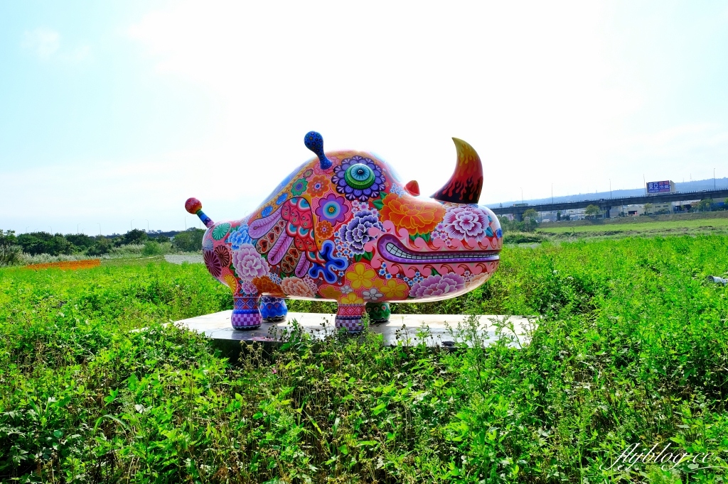 【南投旅遊】2022南投燈會，可愛的嘟嘟小火車，穿梭浪漫南投花海，期間限定無人機煙火秀 @飛天璇的口袋