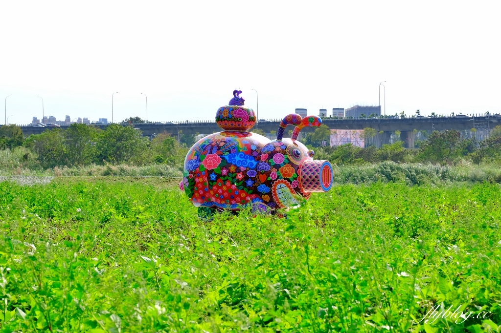 【南投旅遊】2022南投燈會，可愛的嘟嘟小火車，穿梭浪漫南投花海，期間限定無人機煙火秀 @飛天璇的口袋