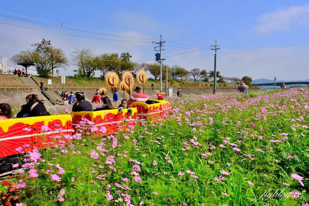 【南投旅遊】2022南投燈會，可愛的嘟嘟小火車，穿梭浪漫南投花海，期間限定無人機煙火秀 @飛天璇的口袋