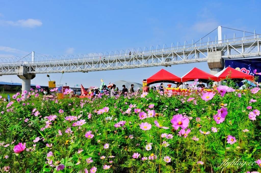 【南投旅遊】2022南投燈會，可愛的嘟嘟小火車，穿梭浪漫南投花海，期間限定無人機煙火秀 @飛天璇的口袋