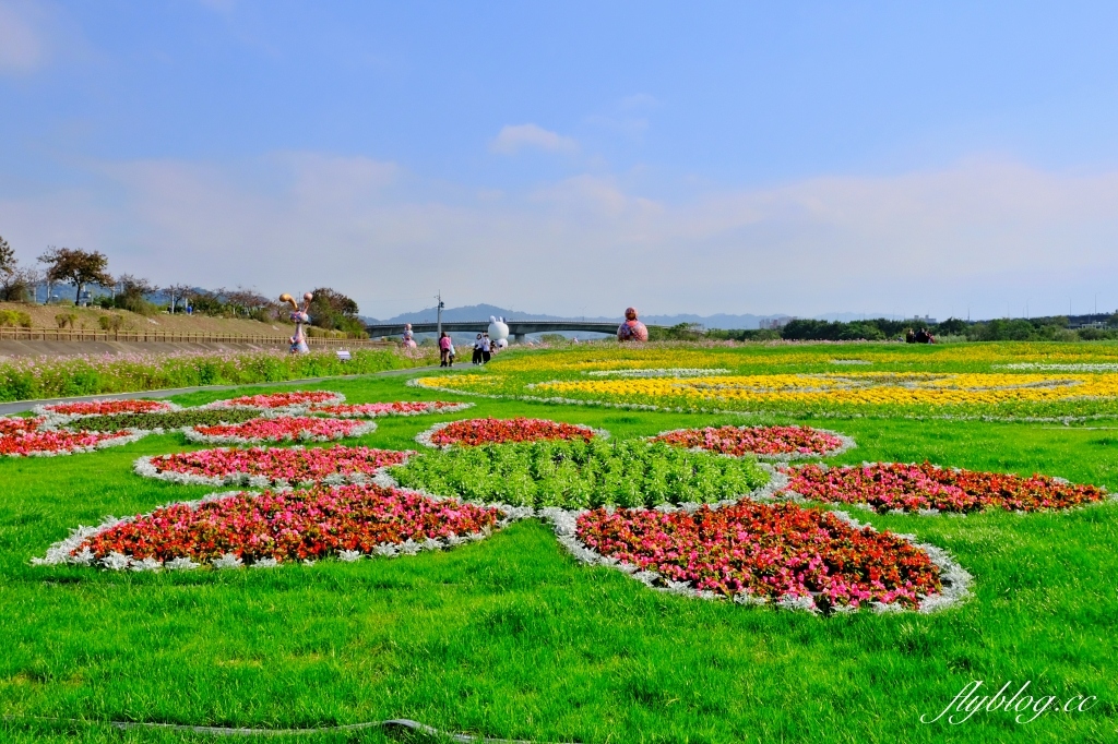 【南投旅遊】2022南投燈會，可愛的嘟嘟小火車，穿梭浪漫南投花海，期間限定無人機煙火秀 @飛天璇的口袋