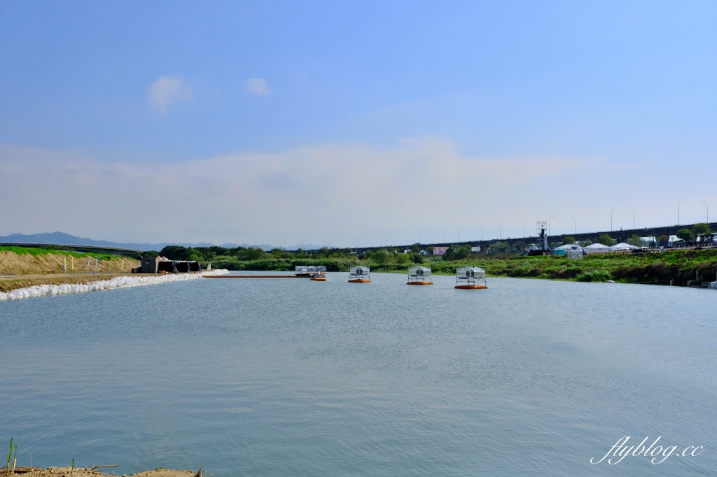 【南投旅遊】2022南投燈會，可愛的嘟嘟小火車，穿梭浪漫南投花海，期間限定無人機煙火秀 @飛天璇的口袋
