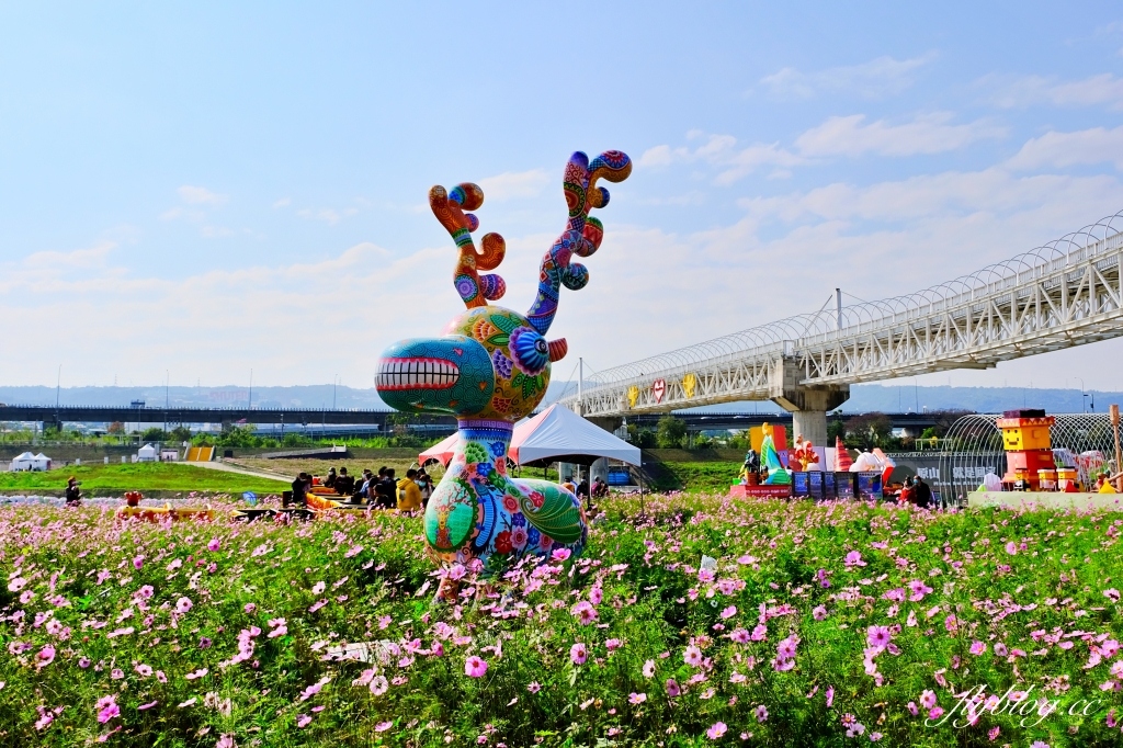 【南投旅遊】2022南投燈會，可愛的嘟嘟小火車，穿梭浪漫南投花海，期間限定無人機煙火秀 @飛天璇的口袋