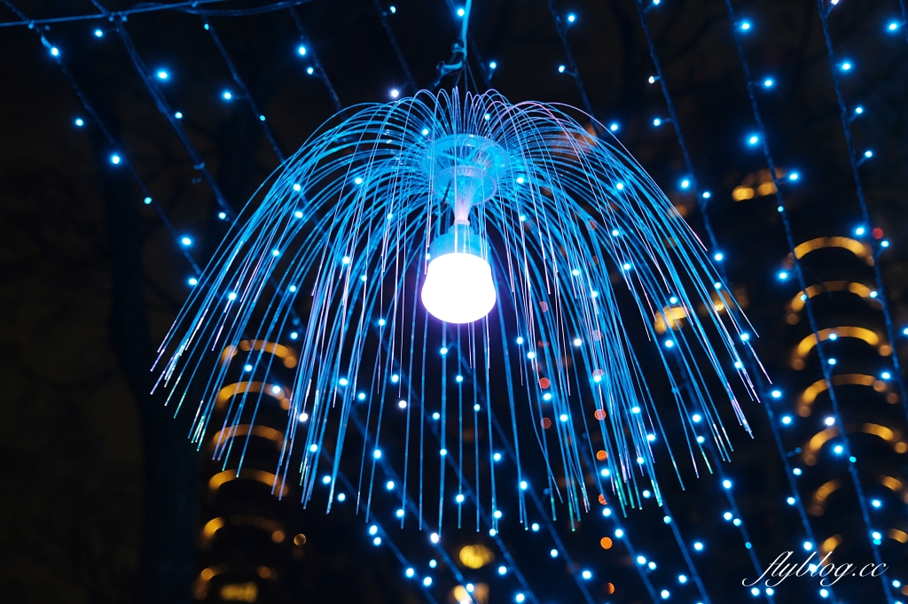 【台中南屯】2022台中燈會~搭捷運到文心森林公園賞燈會，2022中台灣元宵燈會 @飛天璇的口袋