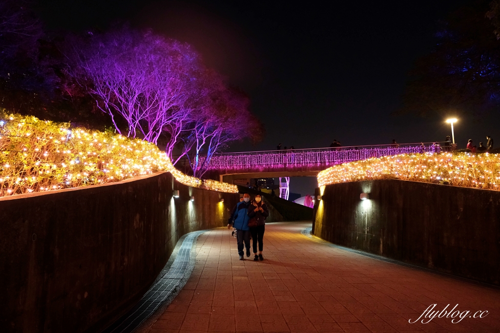 【台中南屯】2022台中燈會~搭捷運到文心森林公園賞燈會，2022中台灣元宵燈會 @飛天璇的口袋
