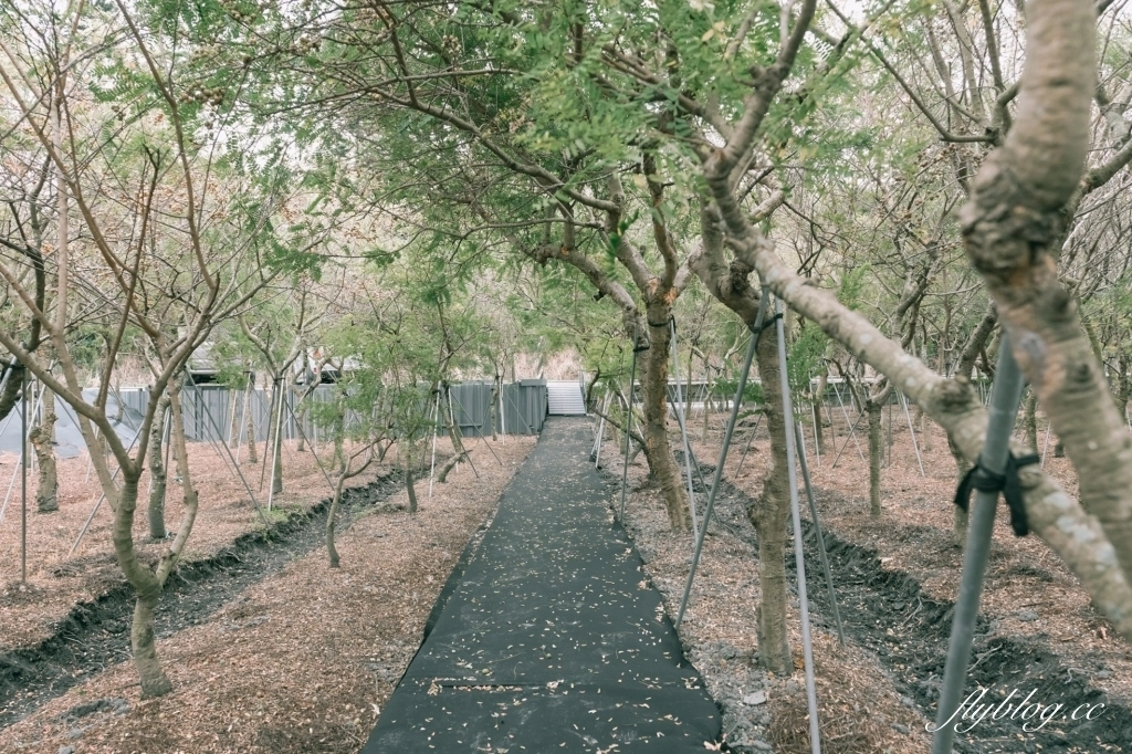 透明空氣|隱身在員林巷弄裡的透明空氣,享受現代枯寂美學日式建築 @飛天璇的口袋 透明空氣|隱身在員林巷弄裡的透明空氣,享受現代枯寂美學日式建築 @飛天璇的口袋