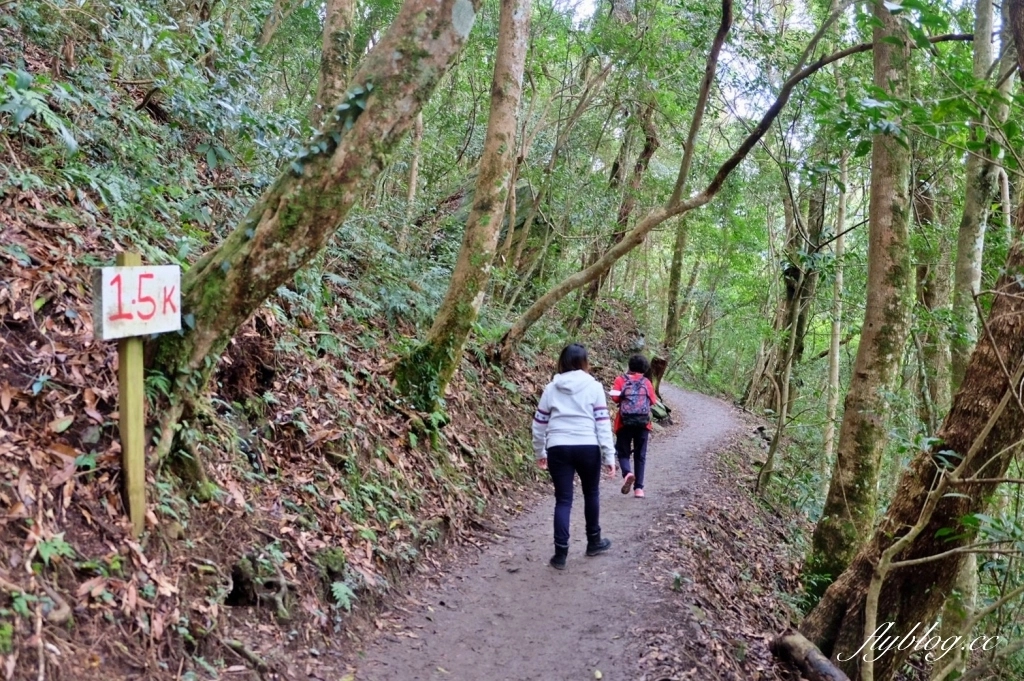 新竹尖石｜2025司馬庫斯櫻花季開跑了，上帝的部落泰雅族賞櫻秘境 @飛天璇的口袋