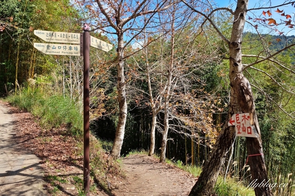 新竹尖石｜2025司馬庫斯櫻花季開跑了，上帝的部落泰雅族賞櫻秘境 @飛天璇的口袋