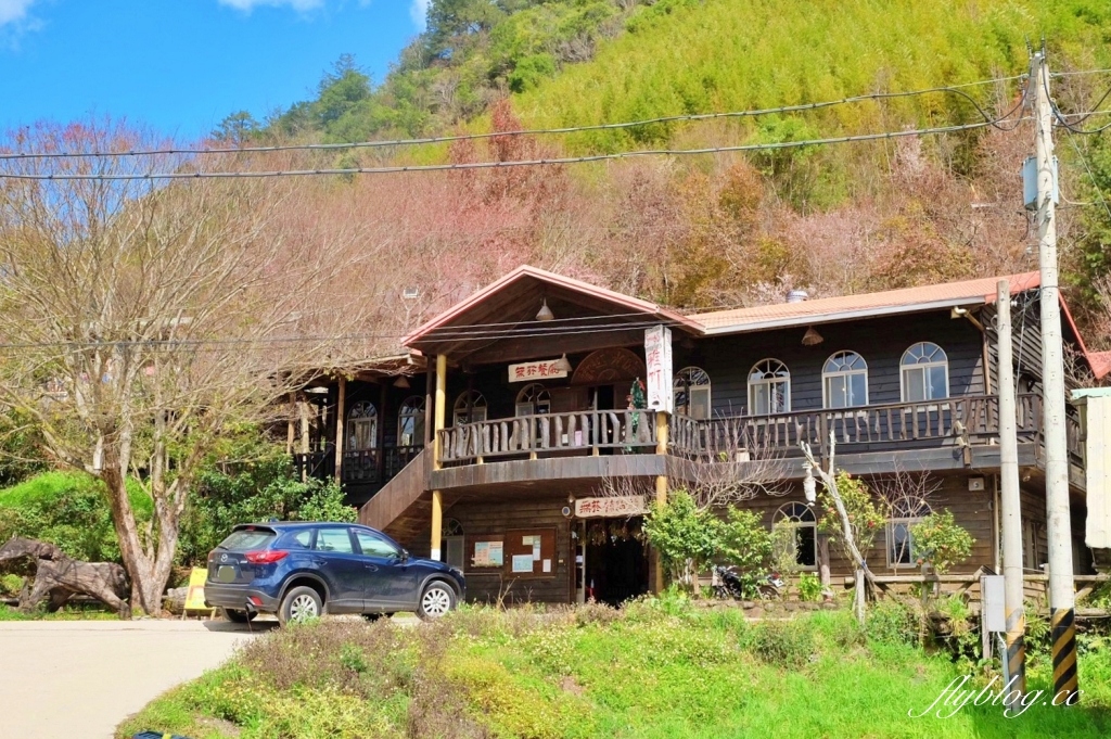 新竹尖石｜2025司馬庫斯櫻花季開跑了，上帝的部落泰雅族賞櫻秘境 @飛天璇的口袋