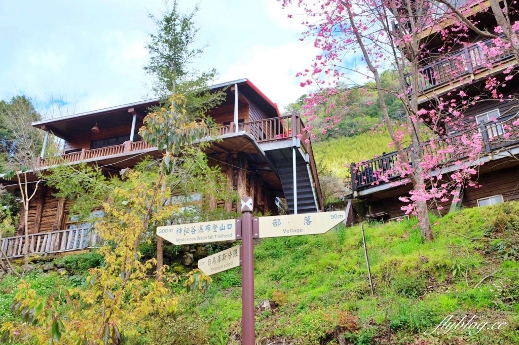 新竹尖石｜2025司馬庫斯櫻花季開跑了，上帝的部落泰雅族賞櫻秘境 @飛天璇的口袋