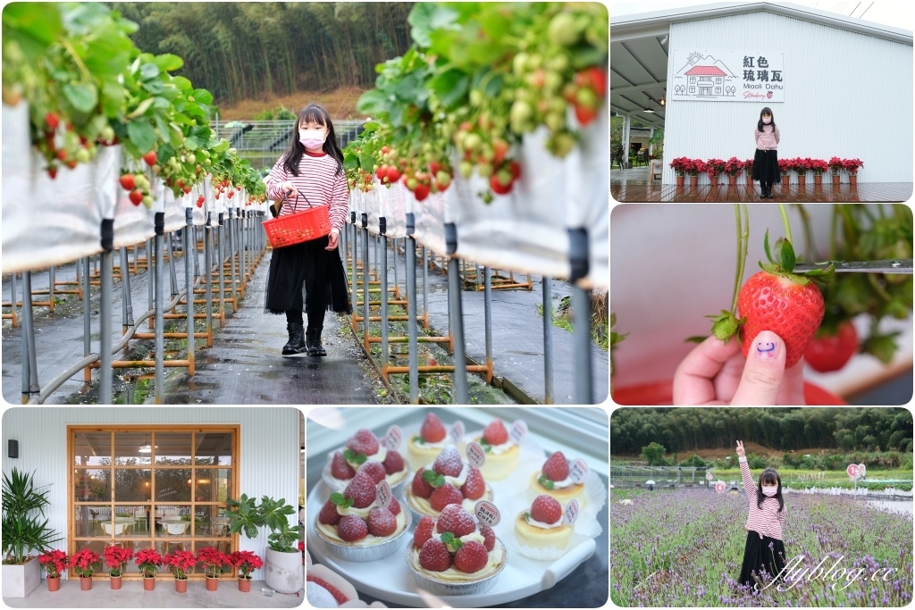 紅色琉璃瓦 SUHU Caf&eacute; ｜大湖最新景點紅色琉璃瓦草莓園，結合採果、美食、伴手禮 @飛天璇的口袋