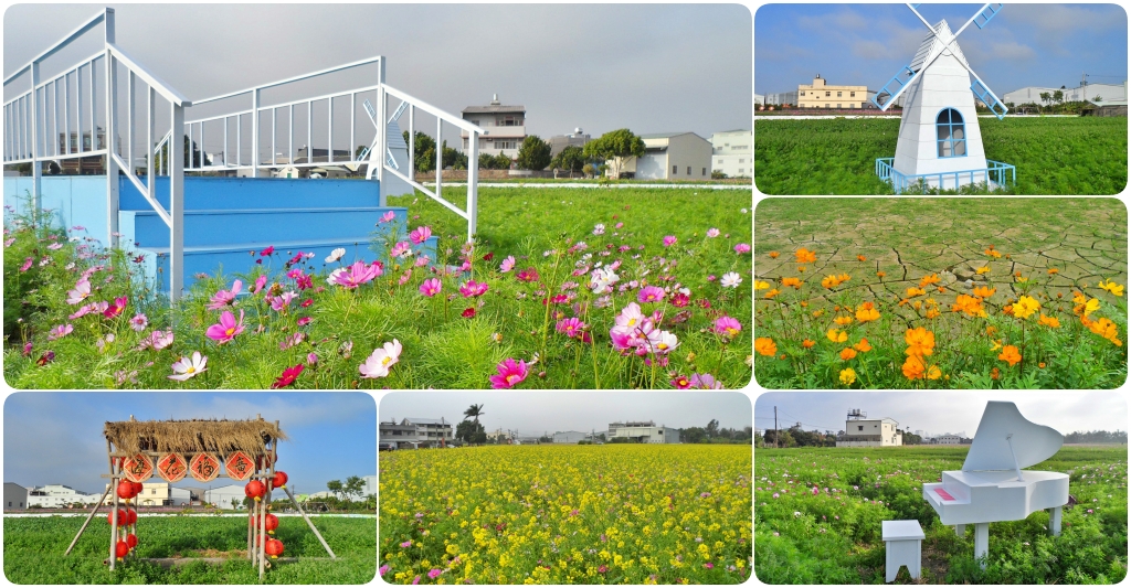 廣福花海｜一期一會的西屯花海，春節走春的好去處！ @飛天璇的口袋
