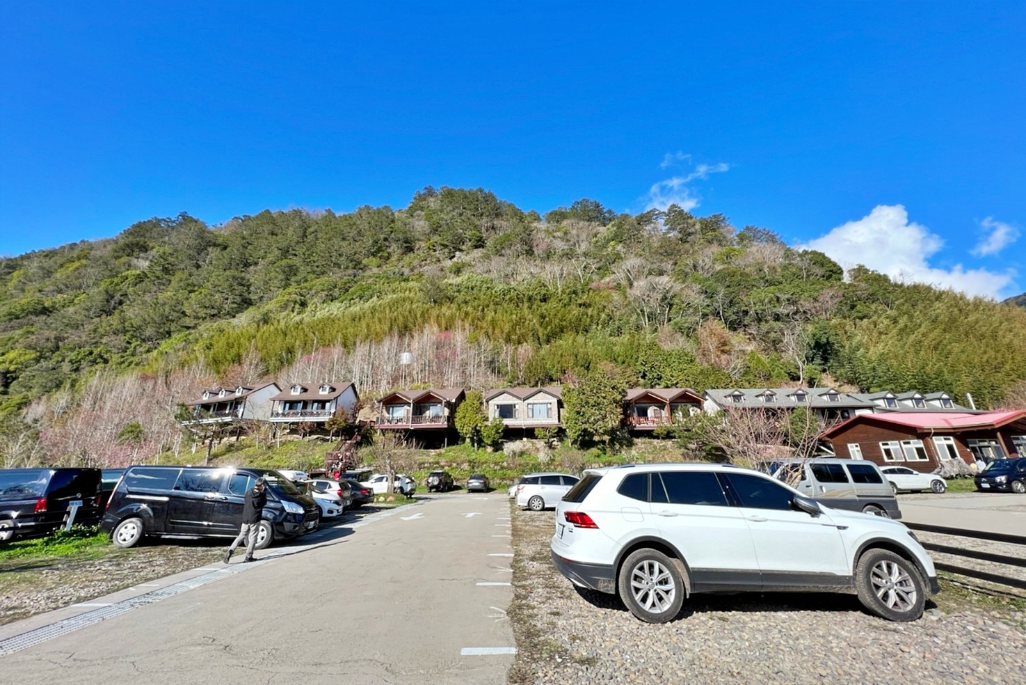 新竹尖石｜2025司馬庫斯櫻花季開跑了，上帝的部落泰雅族賞櫻秘境 @飛天璇的口袋