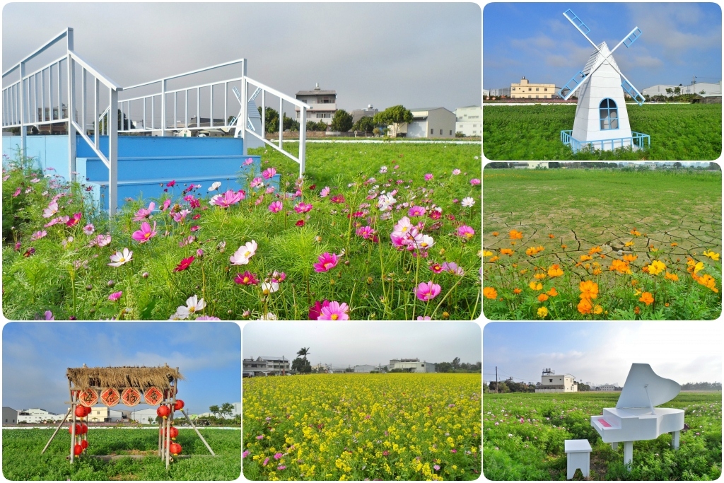 廣福花海｜一期一會的西屯花海，春節走春的好去處！ @飛天璇的口袋