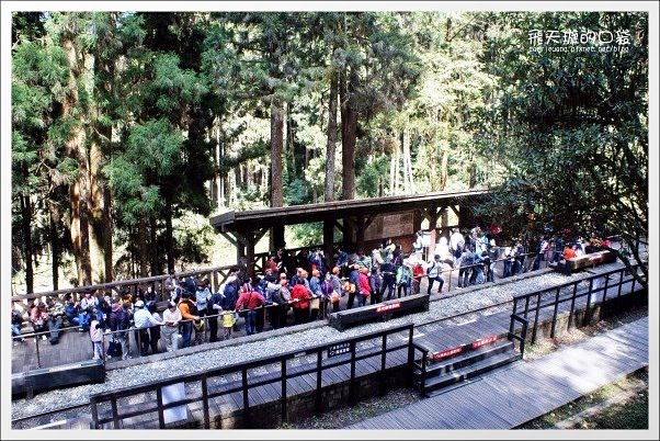 嘉義景點｜阿里山森林遊樂區，2023阿里山櫻花季起跑！阿里山一日遊，搭乘森林小火車，交通路線一次看 @飛天璇的口袋