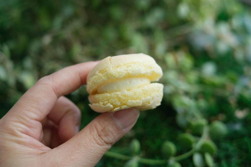 彰化美食｜小熊菓子．超好吃的台式馬卡龍，芙菲小圓餅Fluffy蓬鬆柔軟 @飛天璇的口袋