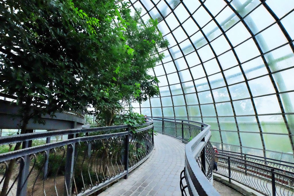 【嘉義東區】新嘉大昆蟲館~全台唯一的旋轉彩蝶柱「嘉義昆蟲館」，夢幻好拍的蝴蝶溫室花園 @飛天璇的口袋