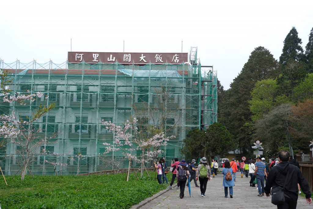 嘉義景點｜阿里山森林遊樂區，2023阿里山櫻花季起跑！阿里山一日遊，搭乘森林小火車，交通路線一次看 @飛天璇的口袋