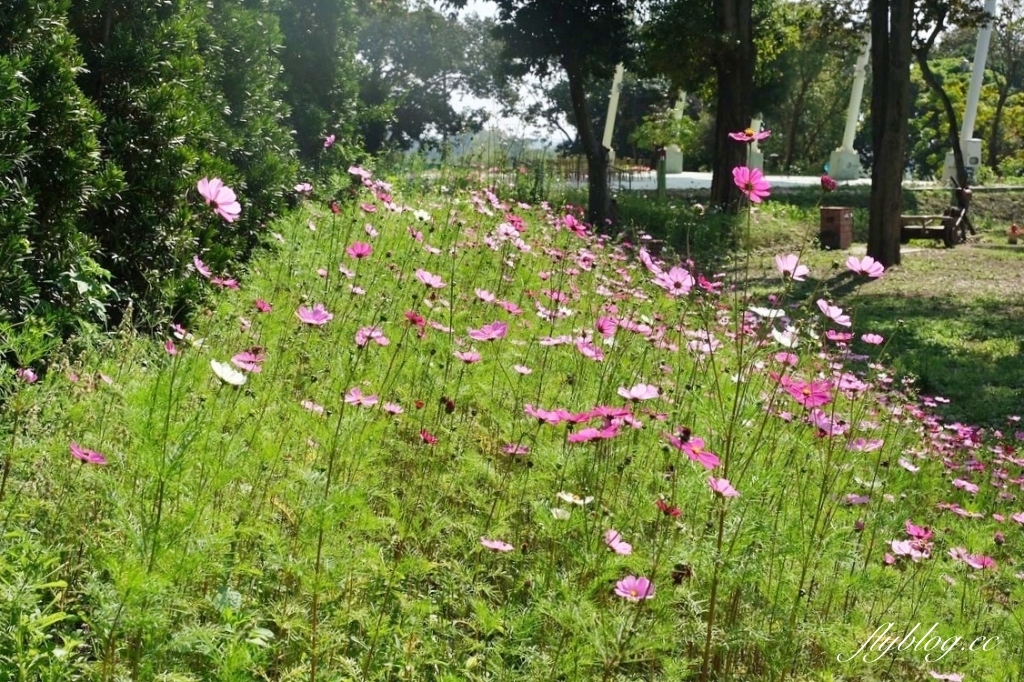 彰化社頭｜清水那方．全台首創的溫泉Spa豪華露營，溜滑梯、沙坑、泡腳池、體適能區 @飛天璇的口袋