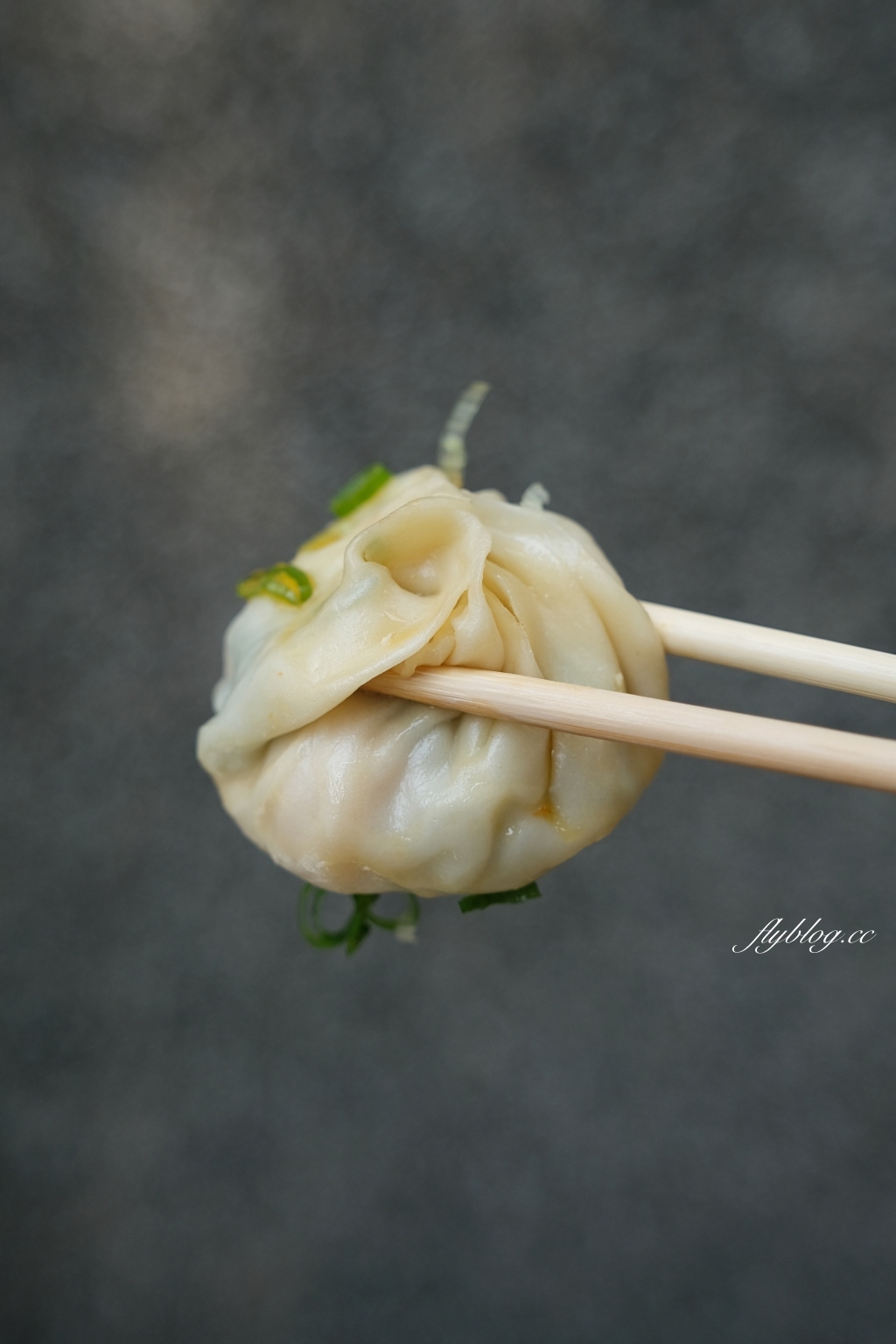 苗栗頭份｜頭份鮮肉湯包．青蔥任你加的鮮肉湯包，食尚玩家也來採訪 @飛天璇的口袋