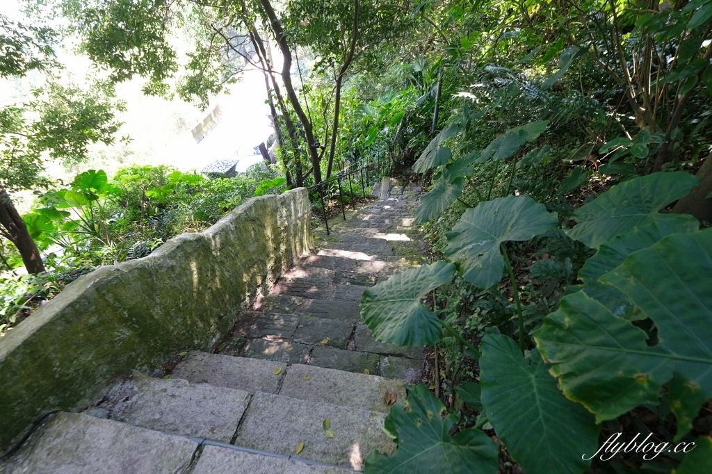 台北士林｜好樣秘境 VVG Hideaway，陽明山上網美景觀餐廳，唯美透明玻璃窗超好拍 @飛天璇的口袋