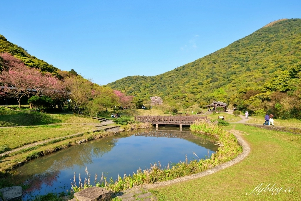 台北景點｜陽明山一日遊．春暖花開陽明山賞花，吃土雞走步道，再到秘境喝下午茶 @飛天璇的口袋