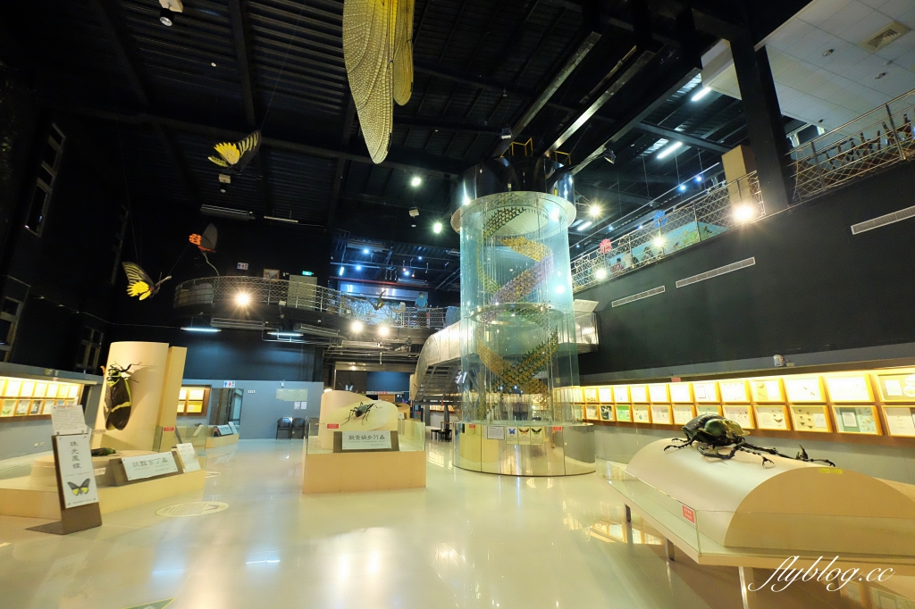 【嘉義東區】新嘉大昆蟲館~全台唯一的旋轉彩蝶柱「嘉義昆蟲館」，夢幻好拍的蝴蝶溫室花園 @飛天璇的口袋