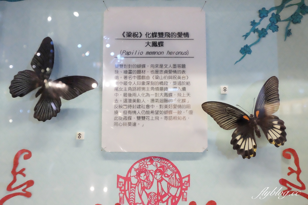 【嘉義東區】新嘉大昆蟲館~全台唯一的旋轉彩蝶柱「嘉義昆蟲館」,夢幻好拍的蝴蝶溫室花園 @飛天璇的口袋 【嘉義東區】新嘉大昆蟲館~全台唯一的旋轉彩蝶柱「嘉義昆蟲館」,夢幻好拍的蝴蝶溫室花園 @飛天璇的口袋