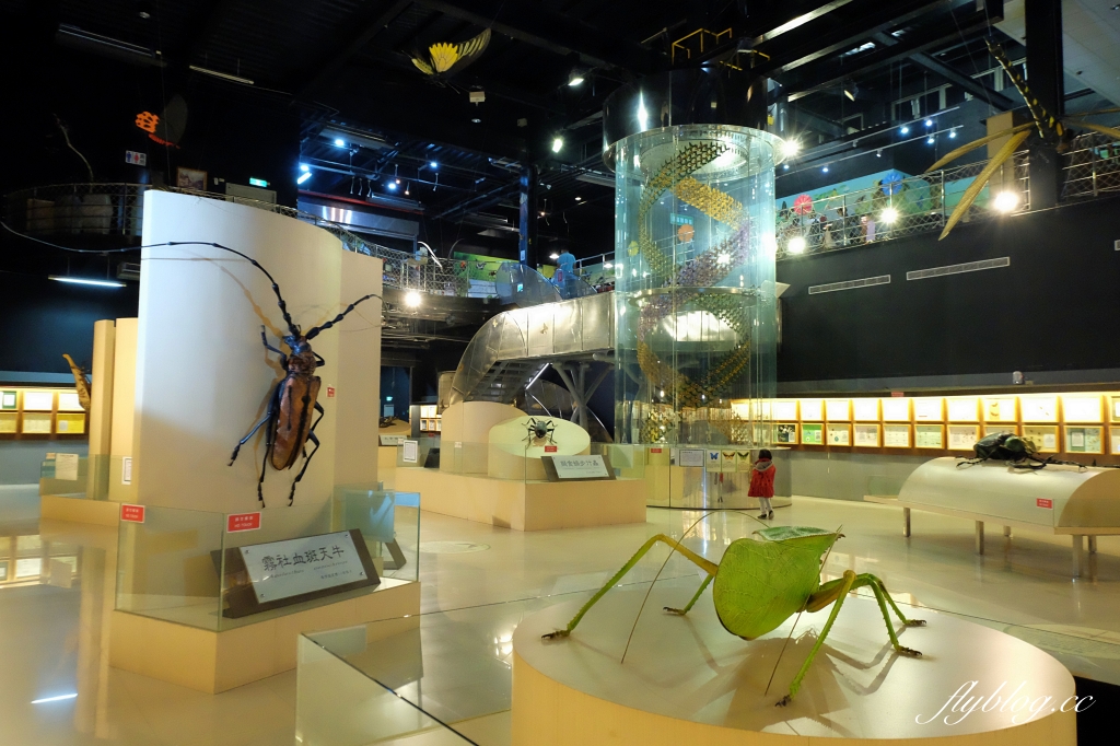 嘉義旅遊｜2024嘉義旅遊景點．嘉義40+景點推薦，嘉義一日遊行程推薦 @飛天璇的口袋