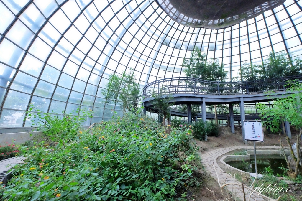 【嘉義東區】新嘉大昆蟲館~全台唯一的旋轉彩蝶柱「嘉義昆蟲館」，夢幻好拍的蝴蝶溫室花園 @飛天璇的口袋