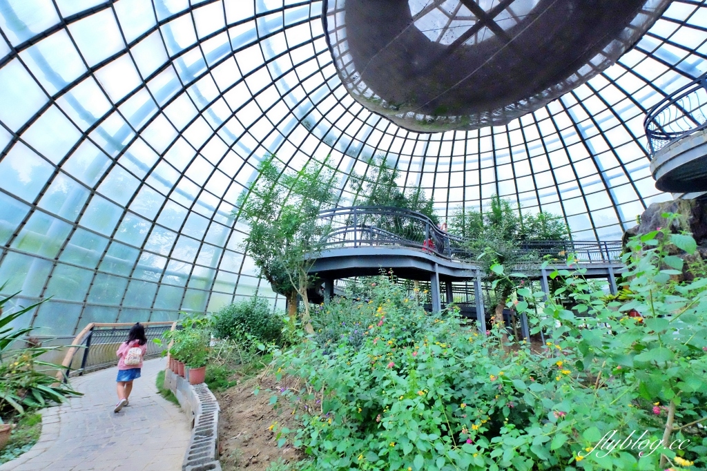 【嘉義東區】新嘉大昆蟲館~全台唯一的旋轉彩蝶柱「嘉義昆蟲館」,夢幻好拍的蝴蝶溫室花園 @飛天璇的口袋 【嘉義東區】新嘉大昆蟲館~全台唯一的旋轉彩蝶柱「嘉義昆蟲館」,夢幻好拍的蝴蝶溫室花園 @飛天璇的口袋