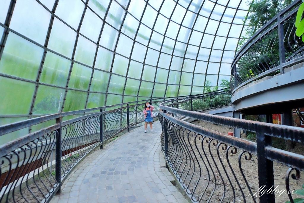 【嘉義東區】新嘉大昆蟲館~全台唯一的旋轉彩蝶柱「嘉義昆蟲館」，夢幻好拍的蝴蝶溫室花園 @飛天璇的口袋