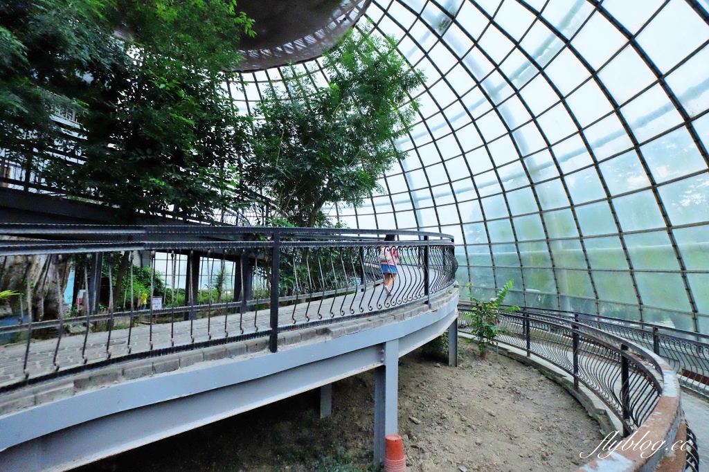 【嘉義東區】新嘉大昆蟲館~全台唯一的旋轉彩蝶柱「嘉義昆蟲館」,夢幻好拍的蝴蝶溫室花園 @飛天璇的口袋 【嘉義東區】新嘉大昆蟲館~全台唯一的旋轉彩蝶柱「嘉義昆蟲館」,夢幻好拍的蝴蝶溫室花園 @飛天璇的口袋