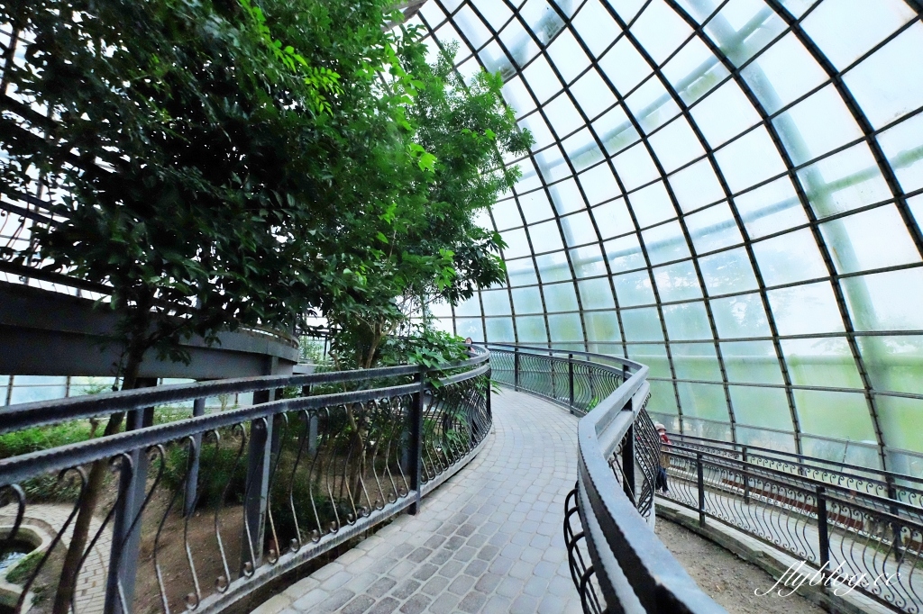 【嘉義東區】新嘉大昆蟲館~全台唯一的旋轉彩蝶柱「嘉義昆蟲館」，夢幻好拍的蝴蝶溫室花園 @飛天璇的口袋