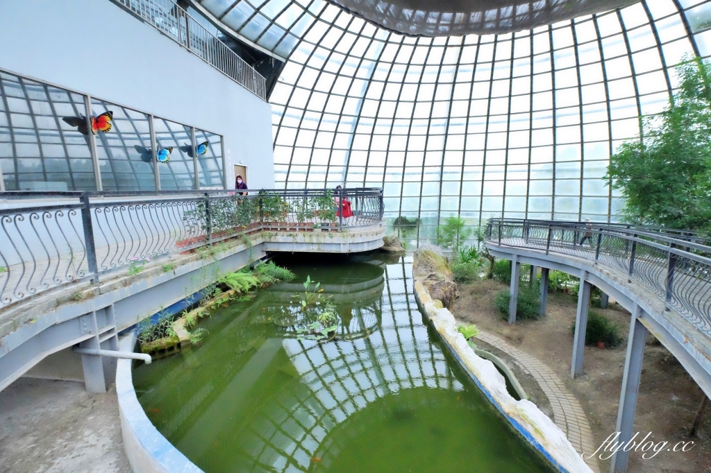 【嘉義東區】新嘉大昆蟲館~全台唯一的旋轉彩蝶柱「嘉義昆蟲館」，夢幻好拍的蝴蝶溫室花園 @飛天璇的口袋