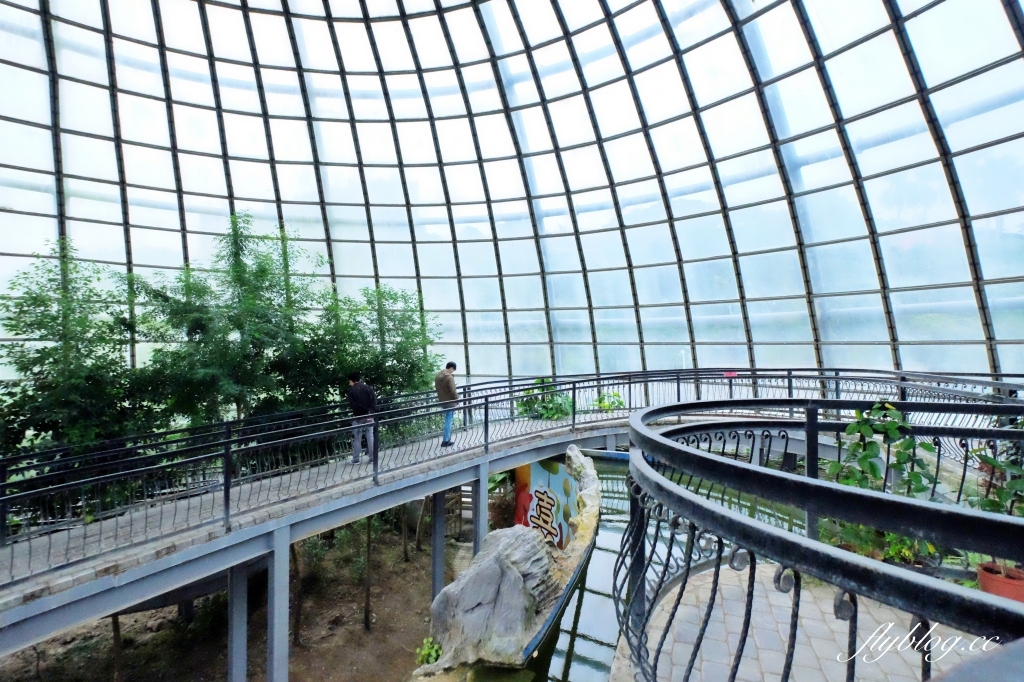 【嘉義東區】新嘉大昆蟲館~全台唯一的旋轉彩蝶柱「嘉義昆蟲館」,夢幻好拍的蝴蝶溫室花園 @飛天璇的口袋 【嘉義東區】新嘉大昆蟲館~全台唯一的旋轉彩蝶柱「嘉義昆蟲館」,夢幻好拍的蝴蝶溫室花園 @飛天璇的口袋