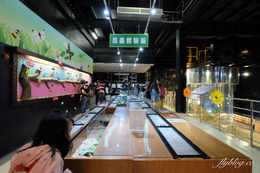 【嘉義東區】新嘉大昆蟲館~全台唯一的旋轉彩蝶柱「嘉義昆蟲館」，夢幻好拍的蝴蝶溫室花園 @飛天璇的口袋
