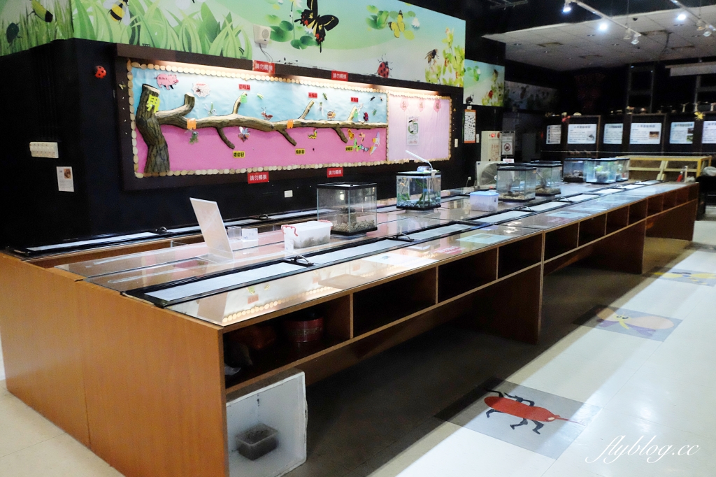 【嘉義東區】新嘉大昆蟲館~全台唯一的旋轉彩蝶柱「嘉義昆蟲館」,夢幻好拍的蝴蝶溫室花園 @飛天璇的口袋 【嘉義東區】新嘉大昆蟲館~全台唯一的旋轉彩蝶柱「嘉義昆蟲館」,夢幻好拍的蝴蝶溫室花園 @飛天璇的口袋