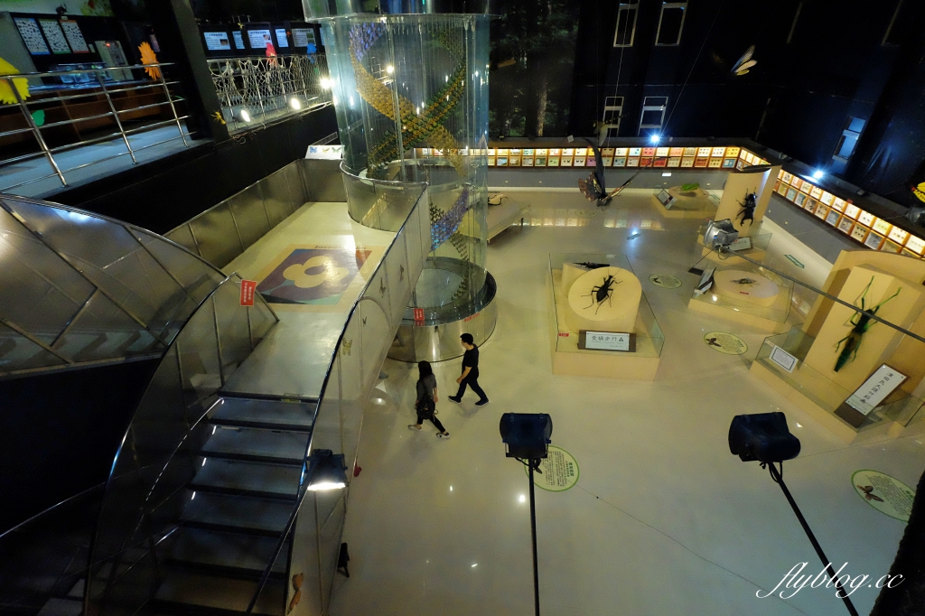 【嘉義東區】新嘉大昆蟲館~全台唯一的旋轉彩蝶柱「嘉義昆蟲館」,夢幻好拍的蝴蝶溫室花園 @飛天璇的口袋 【嘉義東區】新嘉大昆蟲館~全台唯一的旋轉彩蝶柱「嘉義昆蟲館」,夢幻好拍的蝴蝶溫室花園 @飛天璇的口袋