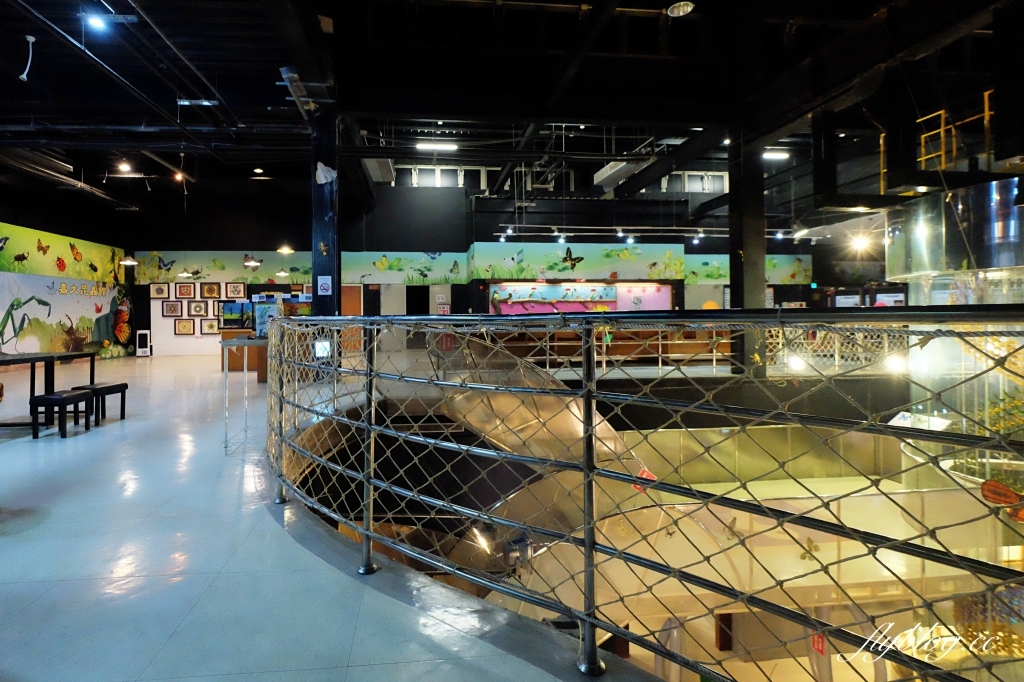 【嘉義東區】新嘉大昆蟲館~全台唯一的旋轉彩蝶柱「嘉義昆蟲館」,夢幻好拍的蝴蝶溫室花園 @飛天璇的口袋 【嘉義東區】新嘉大昆蟲館~全台唯一的旋轉彩蝶柱「嘉義昆蟲館」,夢幻好拍的蝴蝶溫室花園 @飛天璇的口袋