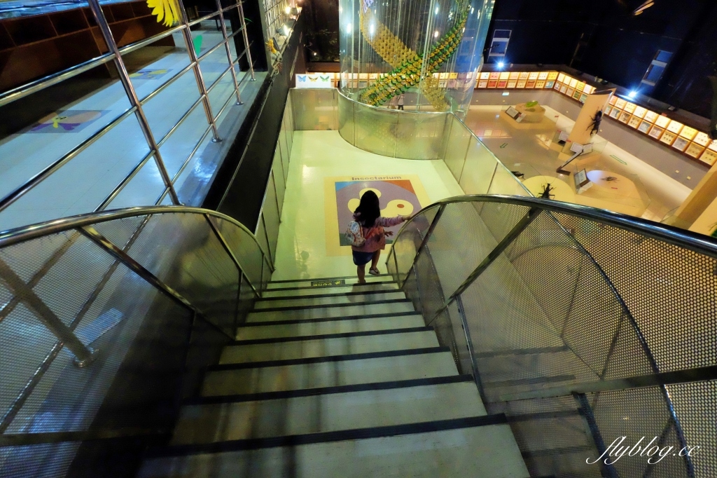 【嘉義東區】新嘉大昆蟲館~全台唯一的旋轉彩蝶柱「嘉義昆蟲館」,夢幻好拍的蝴蝶溫室花園 @飛天璇的口袋 【嘉義東區】新嘉大昆蟲館~全台唯一的旋轉彩蝶柱「嘉義昆蟲館」,夢幻好拍的蝴蝶溫室花園 @飛天璇的口袋