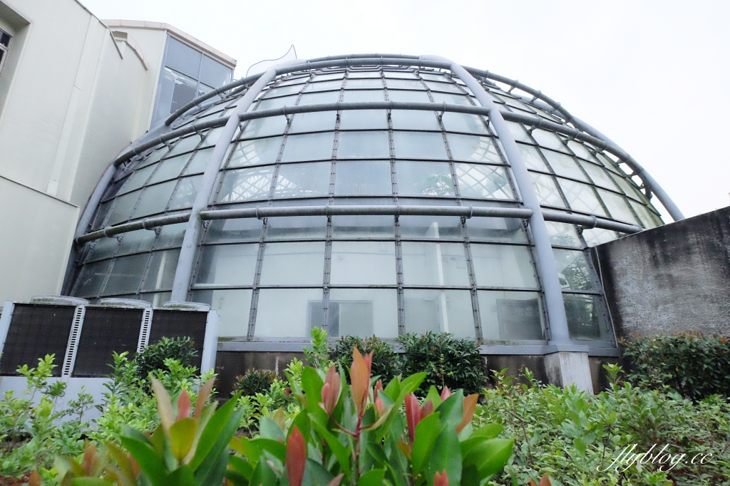 【嘉義東區】新嘉大昆蟲館~全台唯一的旋轉彩蝶柱「嘉義昆蟲館」,夢幻好拍的蝴蝶溫室花園 @飛天璇的口袋 【嘉義東區】新嘉大昆蟲館~全台唯一的旋轉彩蝶柱「嘉義昆蟲館」,夢幻好拍的蝴蝶溫室花園 @飛天璇的口袋