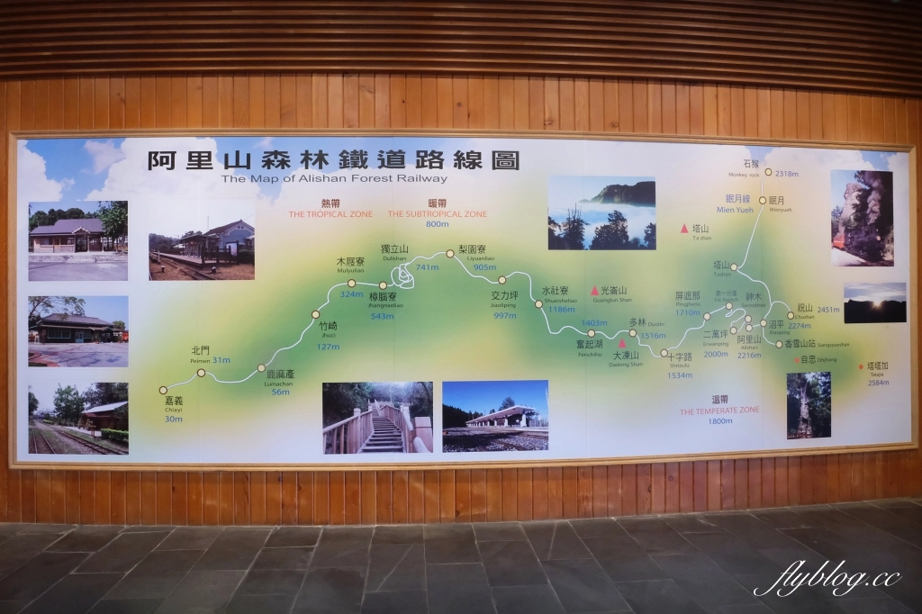 嘉義景點｜阿里山森林遊樂區，2023阿里山櫻花季起跑！阿里山一日遊，搭乘森林小火車，交通路線一次看 @飛天璇的口袋
