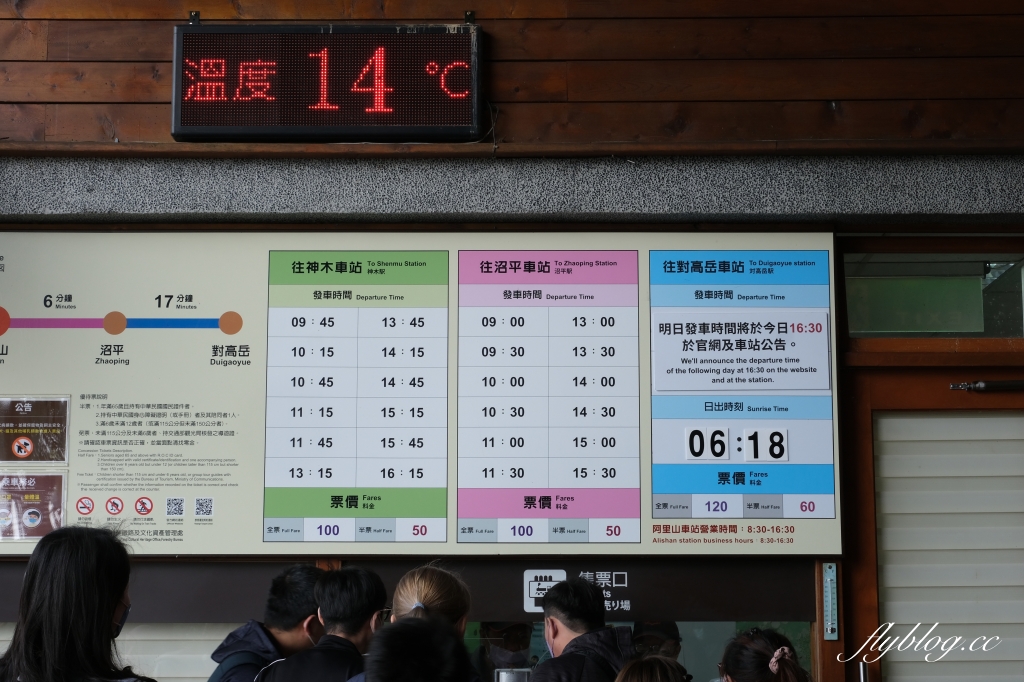 嘉義景點｜阿里山森林遊樂區，2023阿里山櫻花季起跑！阿里山一日遊，搭乘森林小火車，交通路線一次看 @飛天璇的口袋