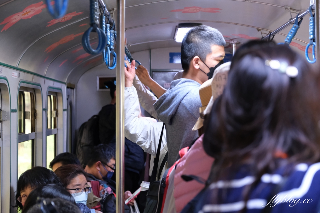 嘉義景點｜阿里山森林遊樂區，2023阿里山櫻花季起跑！阿里山一日遊，搭乘森林小火車，交通路線一次看 @飛天璇的口袋