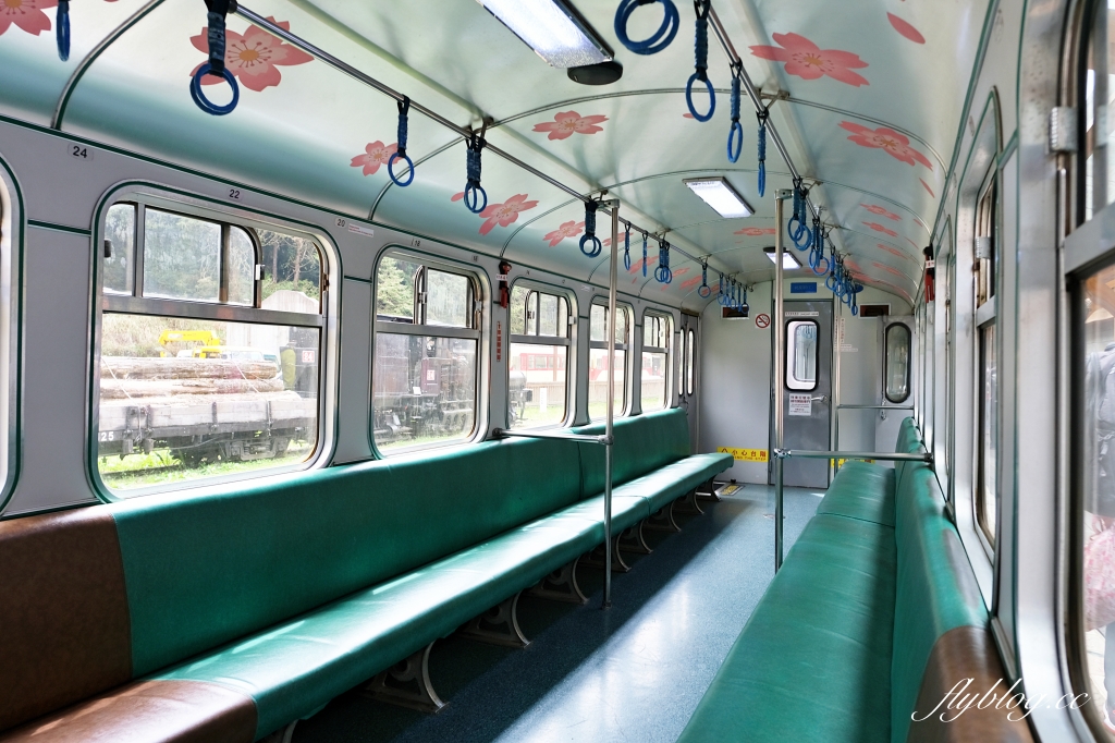 嘉義景點｜阿里山森林遊樂區，2023阿里山櫻花季起跑！阿里山一日遊，搭乘森林小火車，交通路線一次看 @飛天璇的口袋