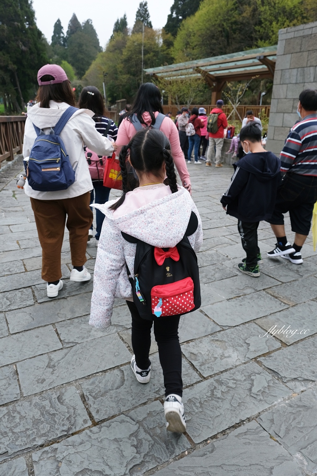 嘉義景點｜阿里山森林遊樂區，2023阿里山櫻花季起跑！阿里山一日遊，搭乘森林小火車，交通路線一次看 @飛天璇的口袋