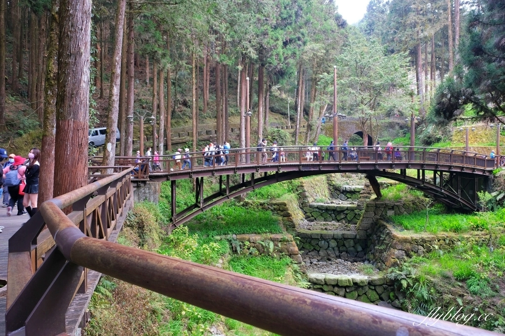 嘉義景點｜阿里山森林遊樂區，2023阿里山櫻花季起跑！阿里山一日遊，搭乘森林小火車，交通路線一次看 @飛天璇的口袋
