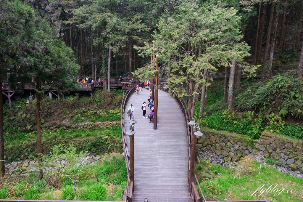 嘉義景點｜阿里山森林遊樂區，2023阿里山櫻花季起跑！阿里山一日遊，搭乘森林小火車，交通路線一次看 @飛天璇的口袋
